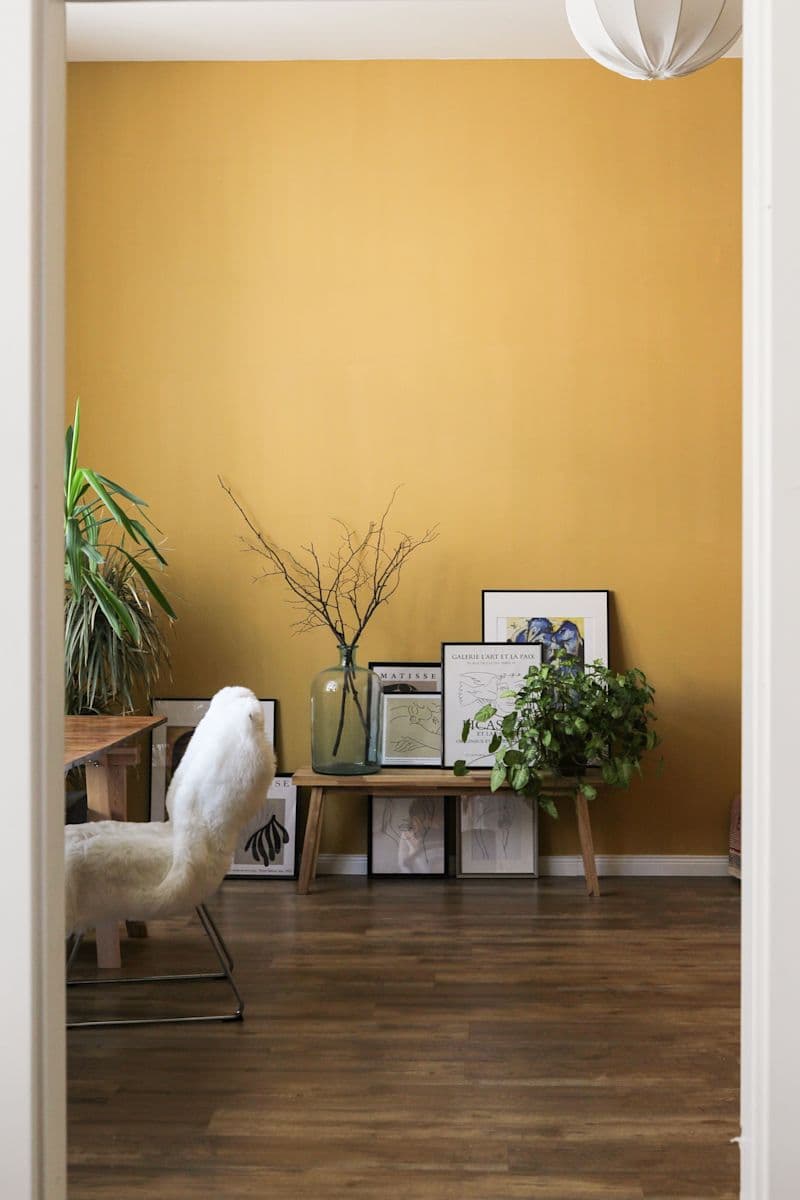 Living room with yellow walls