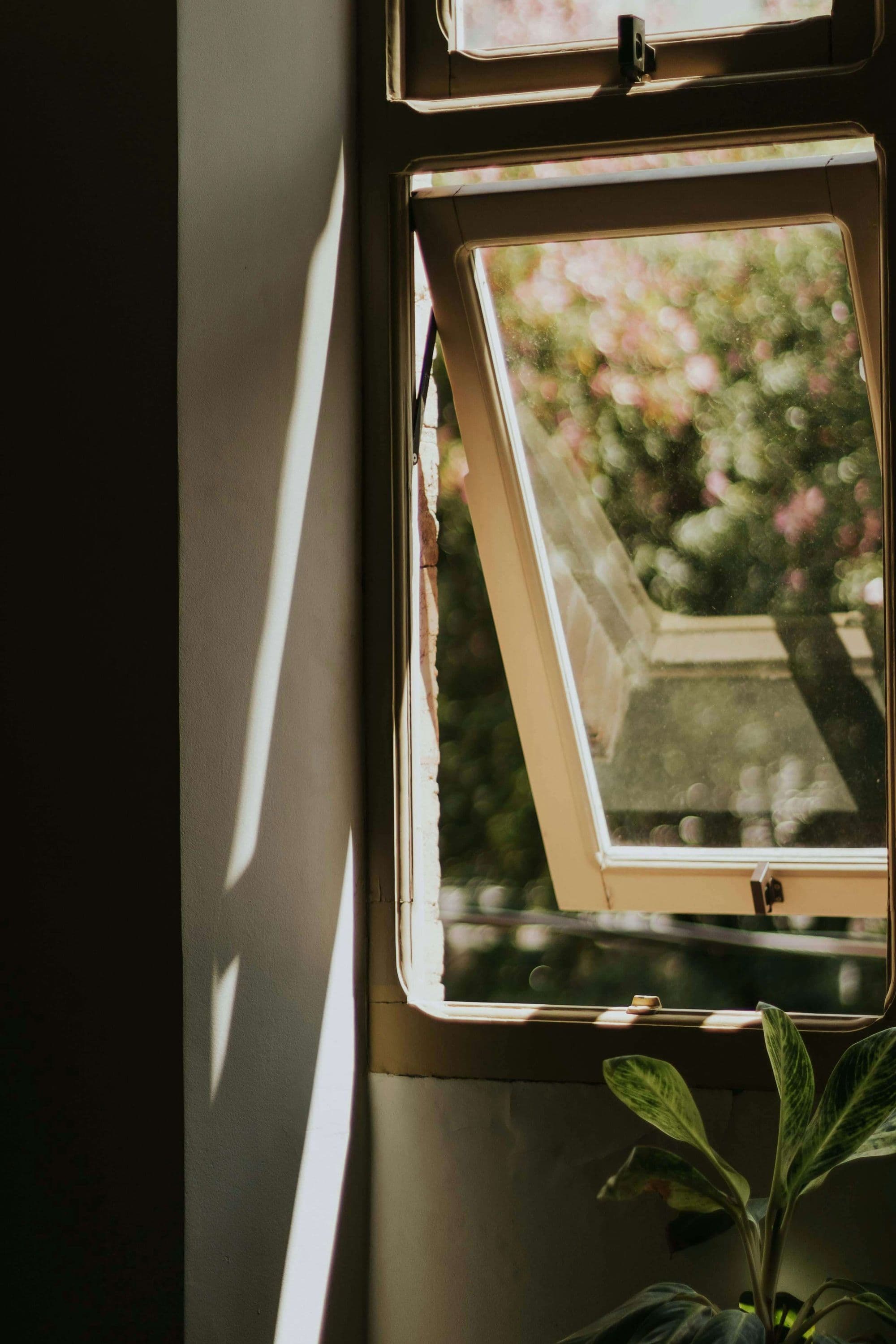 Open window image